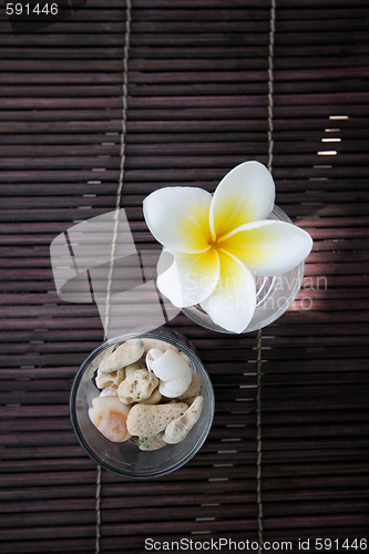 Image of Tropical frangipani flower and stone decoration.