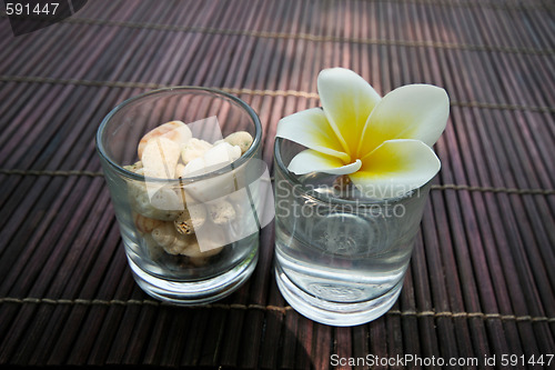 Image of Tropical frangipani flower and stone decoration.