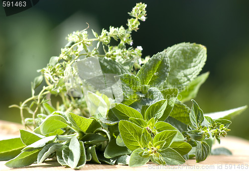 Image of summer herbs