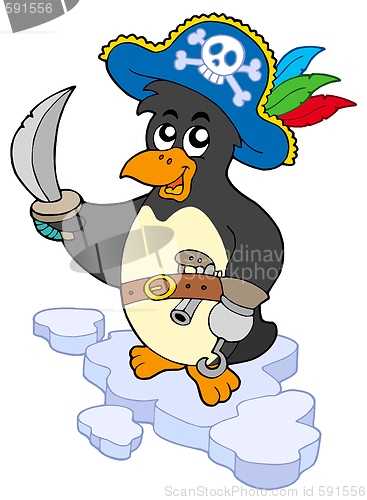 Image of Pirate penguin