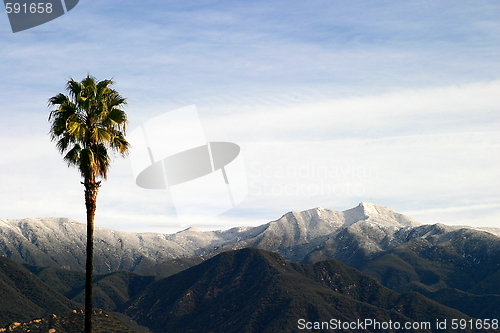 Image of Southern California Snow (4315)