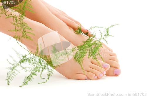 Image of female feet with green plant