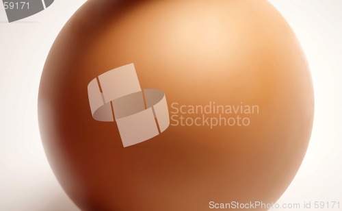 Image of Macro Egg