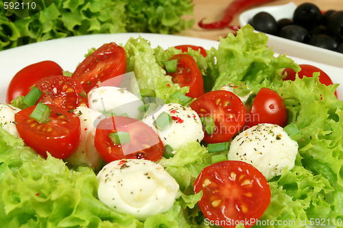 Image of Caprese salad.