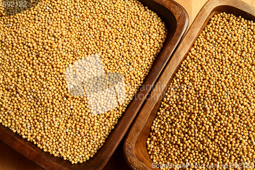 Image of Mustard seeds