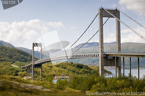 Image of cable-braced bridge