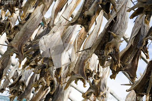 Image of dried fish