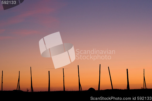 Image of row of sticks on a sunset background