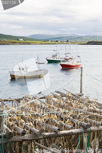 Image of Fishing boats