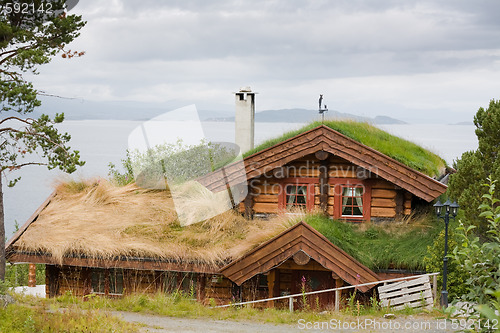 Image of overgrown house