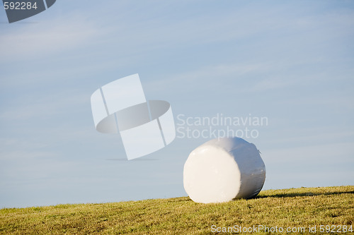 Image of one roll of hay