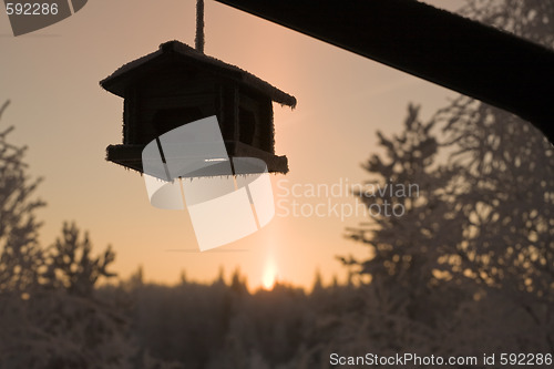 Image of birdfeeder