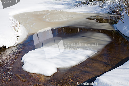 Image of spring