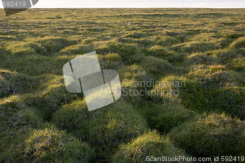 Image of Hilly grass