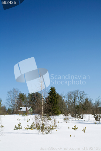 Image of winter rural landscape