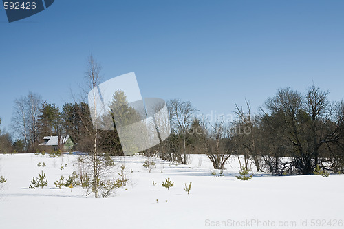Image of winter rural landscape
