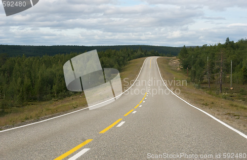 Image of road between trees