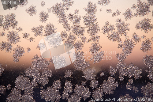 Image of frosty pattern on window glass