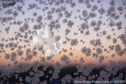 Image of Frosty pattern on window glass