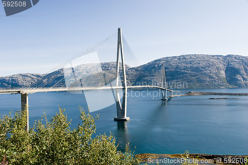 Image of cable-braced bridge