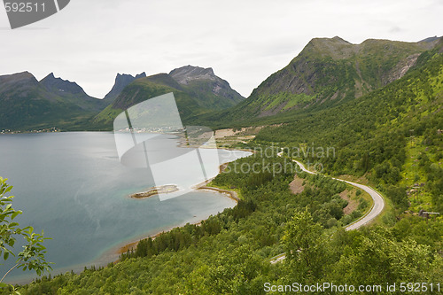 Image of summer norwegian landscape