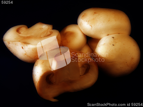 Image of Mushrooms