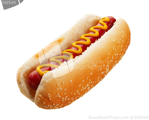 Image of Hot Dog With Mustard