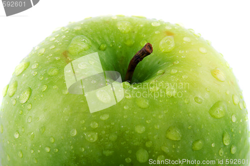 Image of Waterdrops on green apple