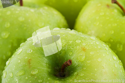 Image of Waterdrops on green apple