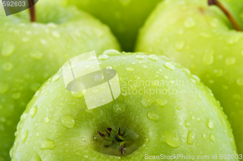 Image of Waterdrops on green apple