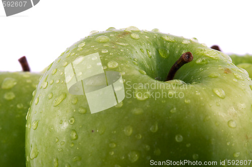 Image of Waterdrops on green apple