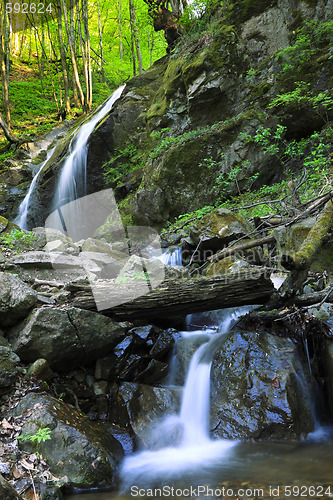 Image of River in the forest