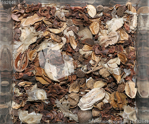 Image of Potpourri 2