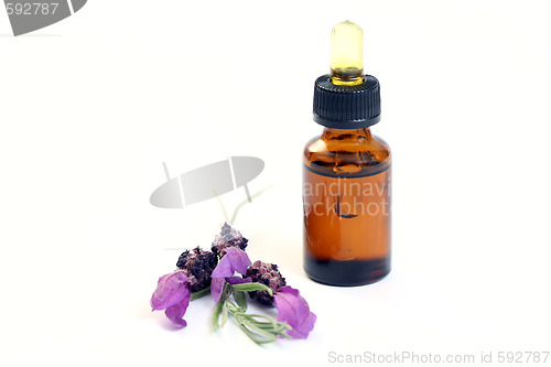 Image of lavender oil