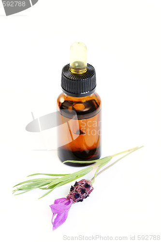 Image of lavender oil