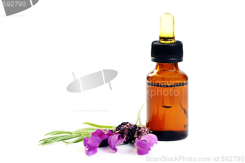 Image of lavender oil