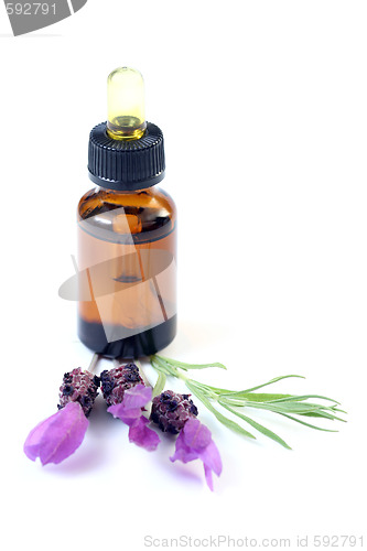 Image of lavender oil