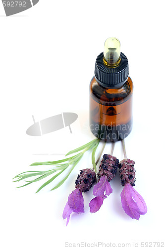 Image of lavender oil