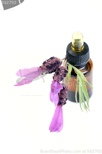 Image of lavender oil