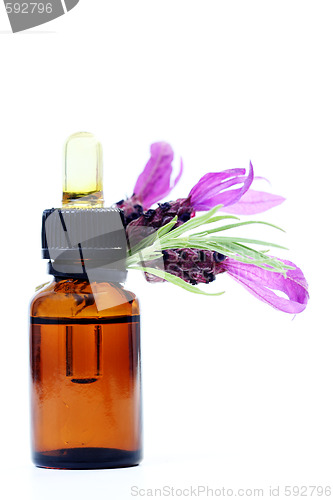 Image of lavender oil