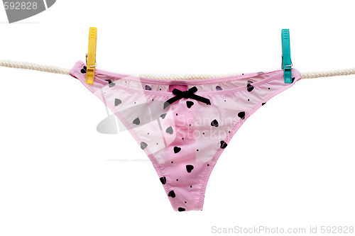 Image of Rose feminine panties