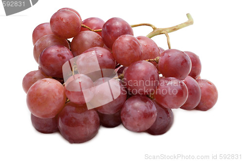 Image of Berries of grape