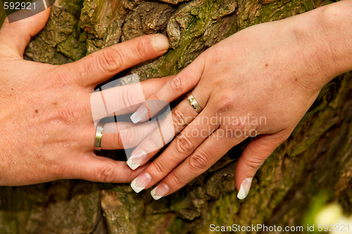 Image of Wedding