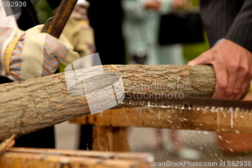 Image of Wedding: Sawing a tree