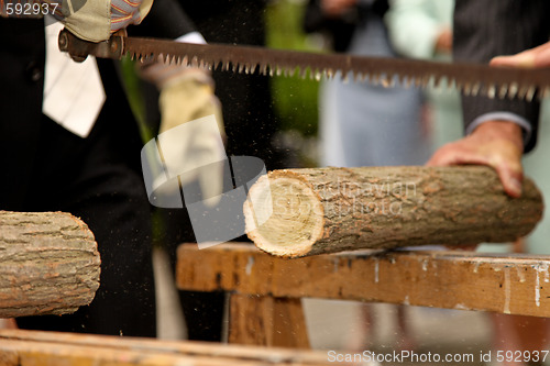 Image of Wedding: Sawing a tree