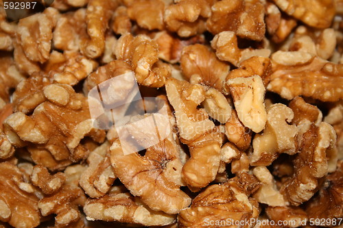 Image of Walnuts