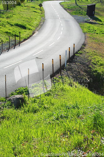 Image of Road In A Park