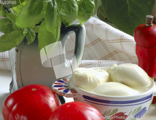 Image of mozarella in the kitchen