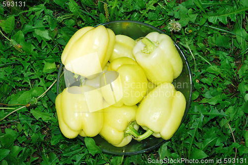 Image of Paprika in glass bowl