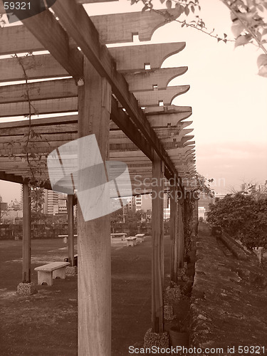 Image of trellis